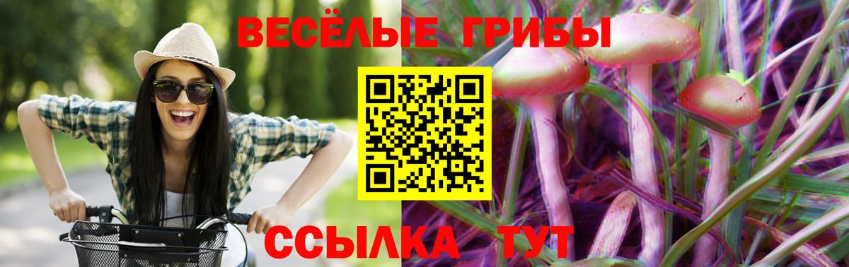 Галлюциногенные грибы Cubensis  Вход с VPN  Магадан 