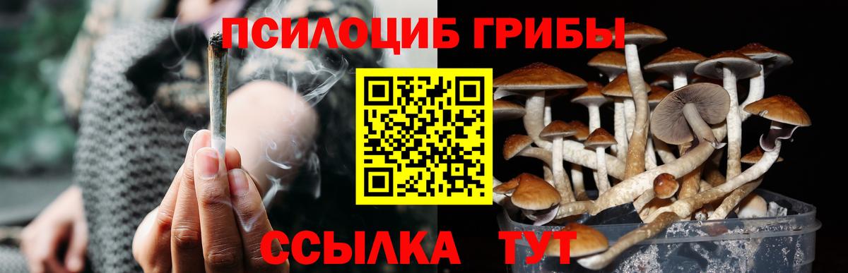 Галлюциногенные грибы прущие грибы Магадан